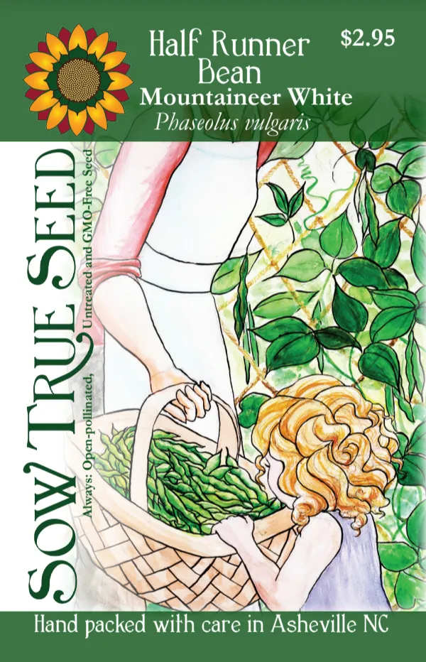 Pole Bean Seeds - Mountaineer White Half Runner