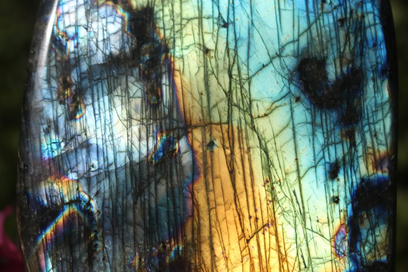 Polished Beautiful Rainbow Labradorite Standing Free Form With Intense Full Face Flash x 1 From Tulear, Madagascar