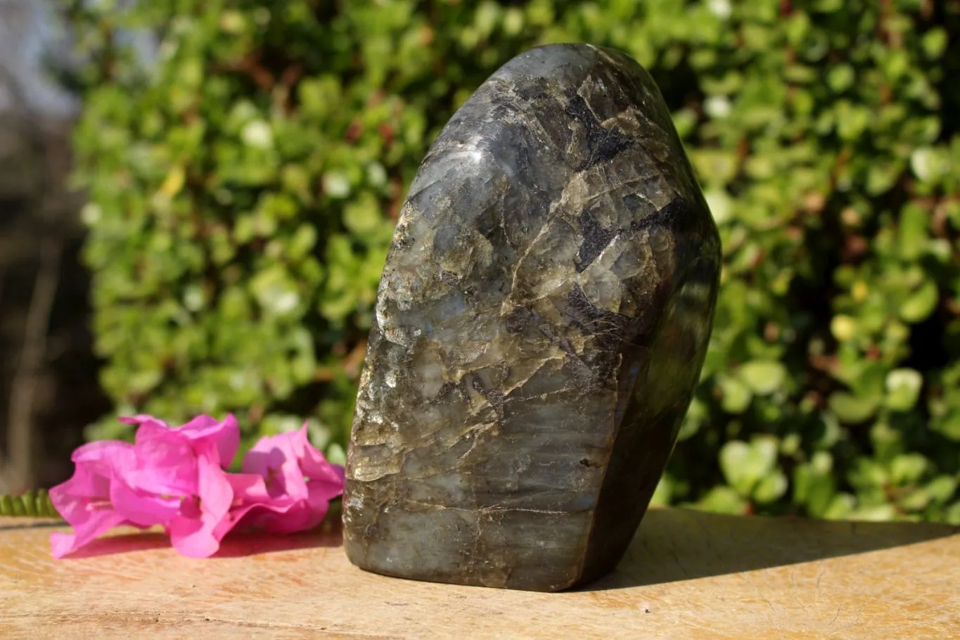 Polished Beautiful Rainbow Labradorite Standing Free Form With Intense Full Face Flash x 1 From Tulear, Madagascar