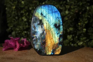 Polished Beautiful Rainbow Labradorite Standing Free Form With Intense Full Face Flash x 1 From Tulear, Madagascar