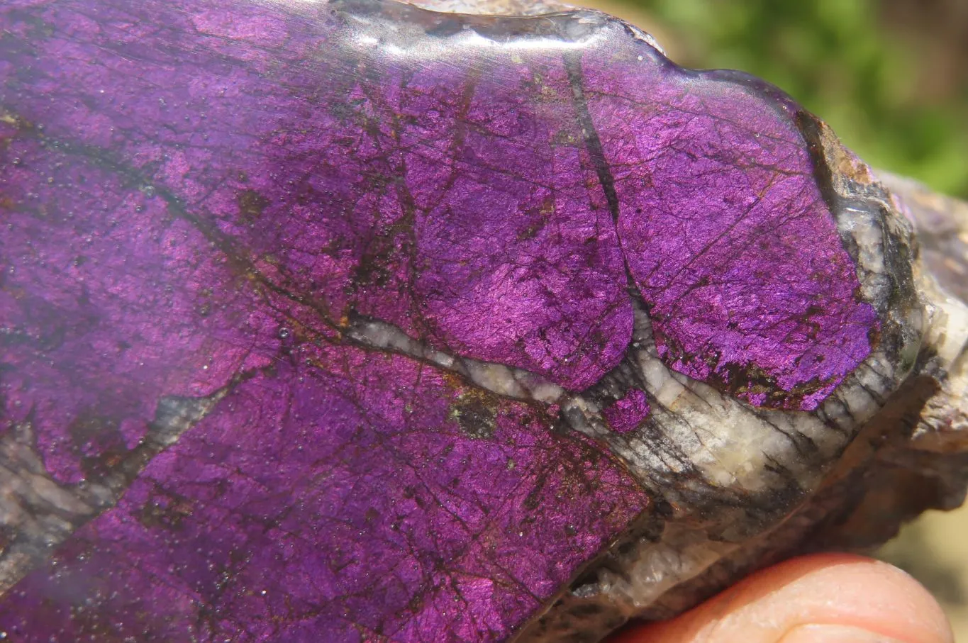 Polished On One Side Metallic Purpurite Specimens x 4 From Namibia