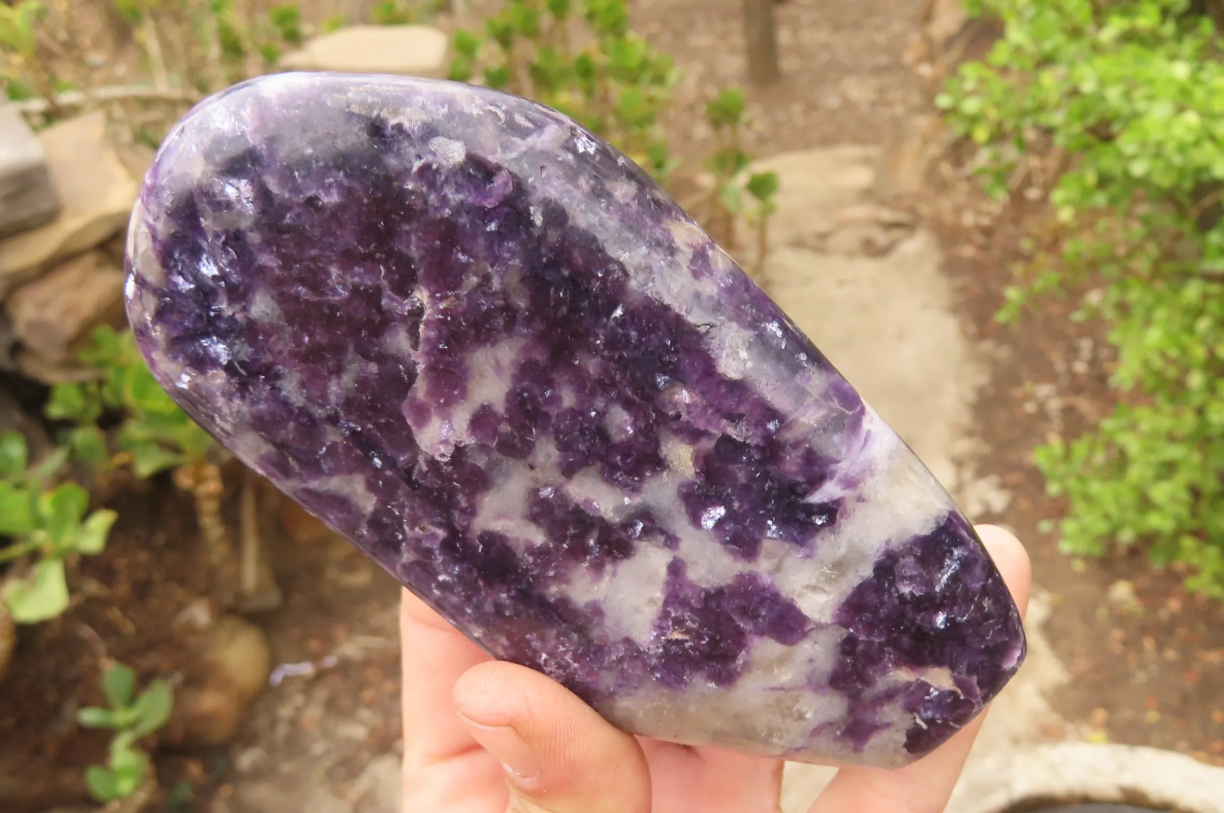 Polished Silver Leaf Lepidolite Standing Free Forms x 3 From Zimbabwe