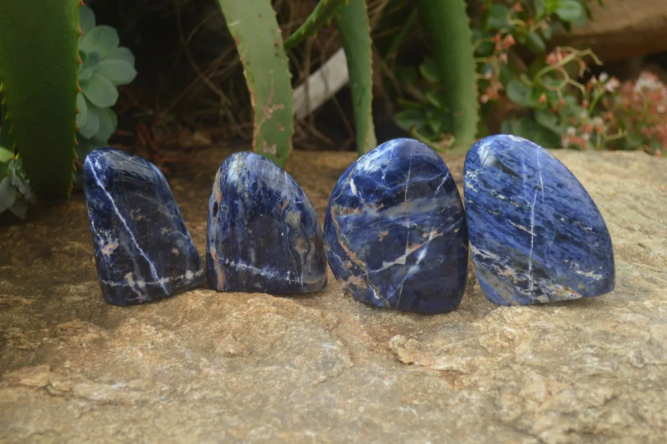 Polished Sodalite Standing Free Forms x 4 From Kunene River, Namibia