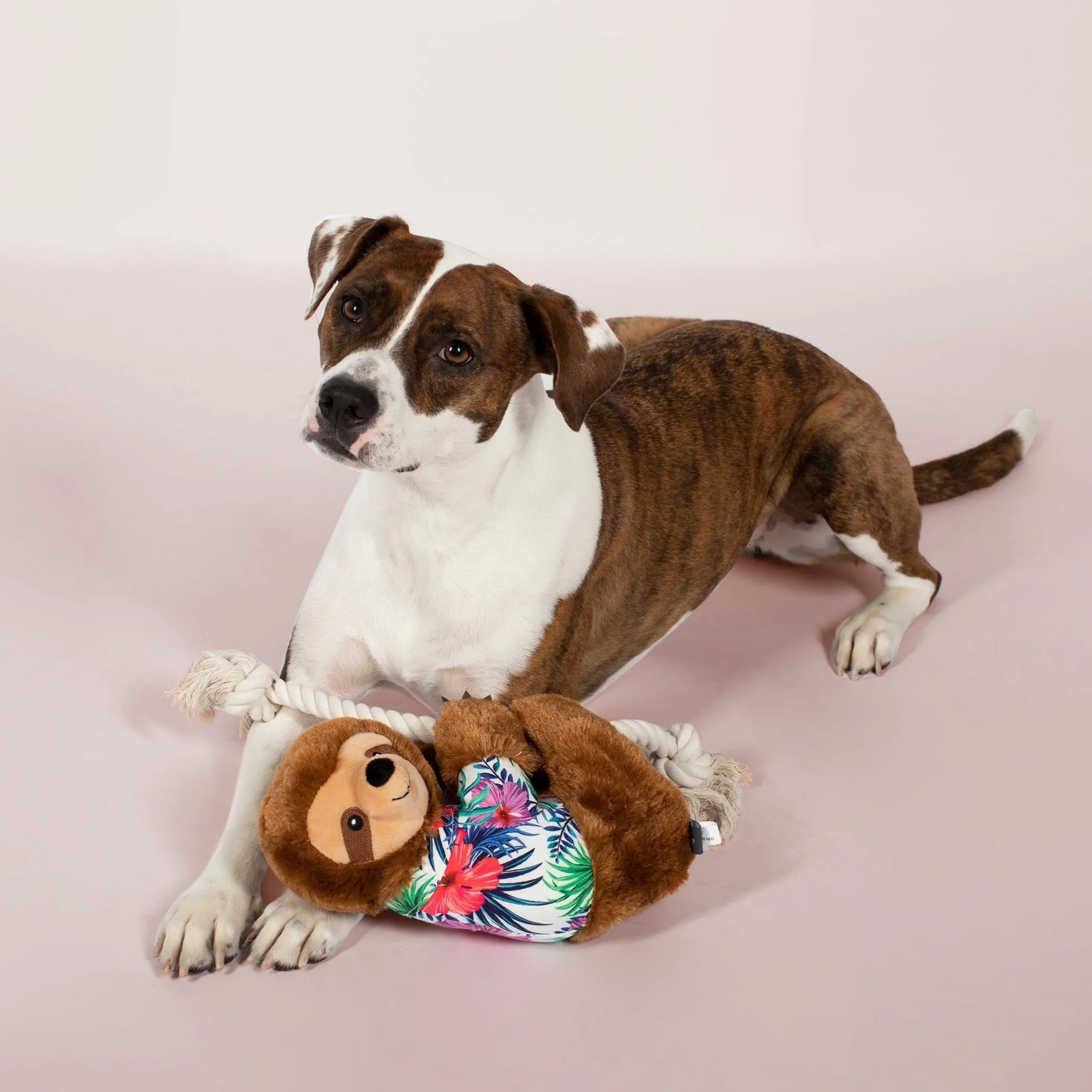 Summer Sloth Squeaky XL Plush Toy