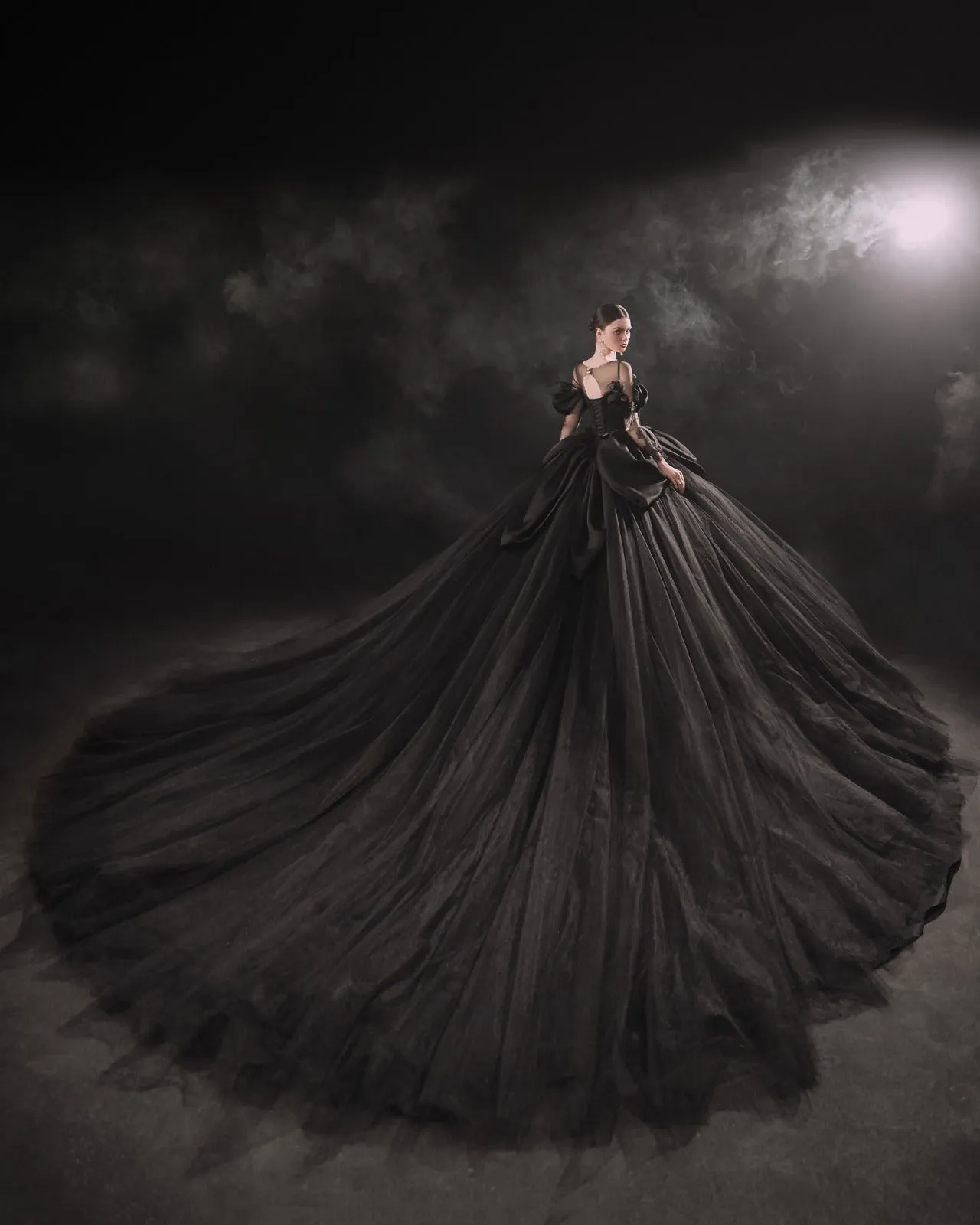 Trend4us Luxurious Black Evening Bridal Wedding Gown