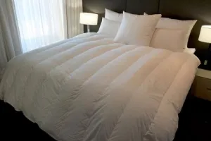 Ultra Light Double Size Channel Quilt 98-99% White Premium Hand Select Polish Goose Down 1 Blanket Warmth 900  Fill Power