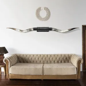 XL King Longhorn Mount